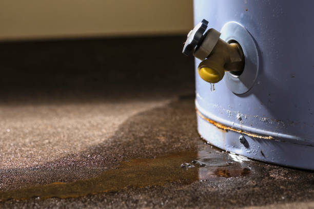 Best Water damage restoration near me  in Hollidaysburg, PA