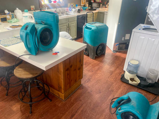 Best Flood damage cleanup  in Hollidaysburg, PA