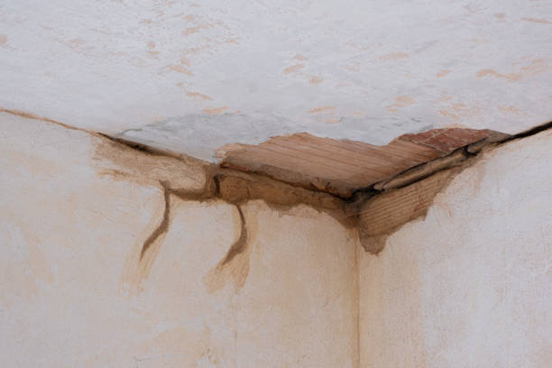Best Water damage cleanup near me  in Hollidaysburg, PA