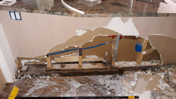 Best Flooded house restoration  in Hollidaysburg, PA