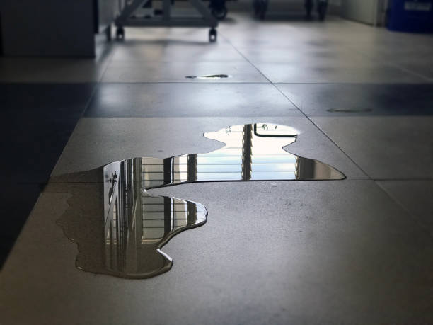 Best Water damage restoration near me  in Hollidaysburg, PA