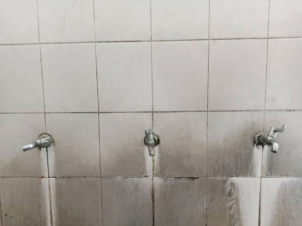 Best Residential water damage restoration  in Hollidaysburg, PA