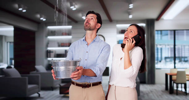 Best Carpet water damage restoration  in Hollidaysburg, PA