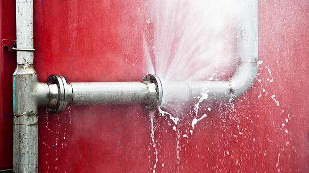 Best Water damage restoration process  in Hollidaysburg, PA